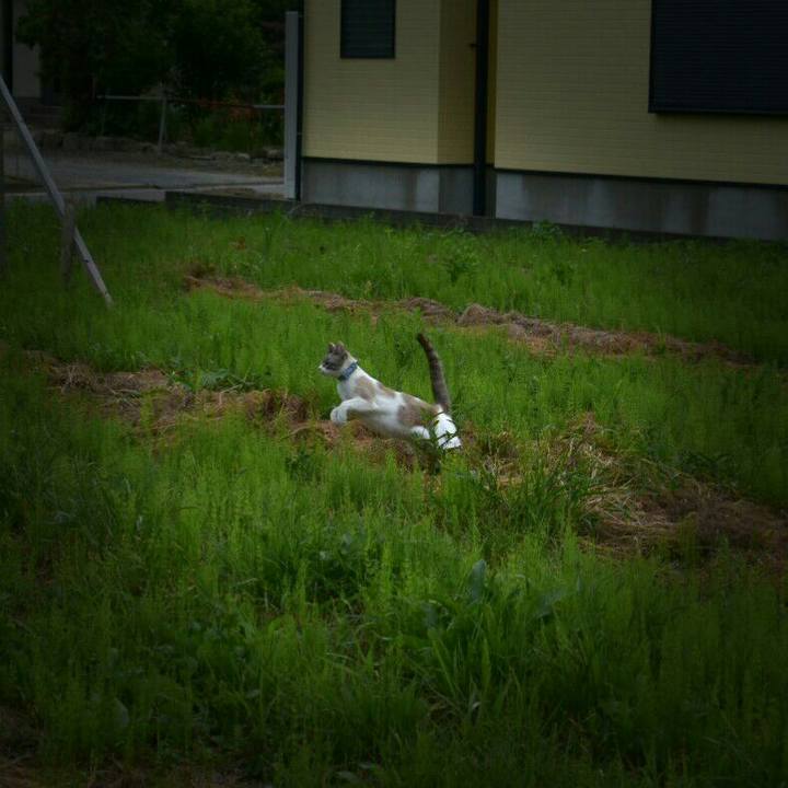 E4d02a30 abed 400a b2ff cea4ce2f7056