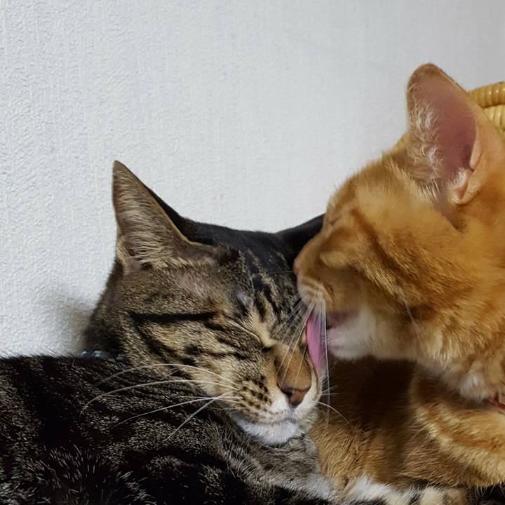 E4d09532 1cc5 4579 99ba 2e0ad86c040b