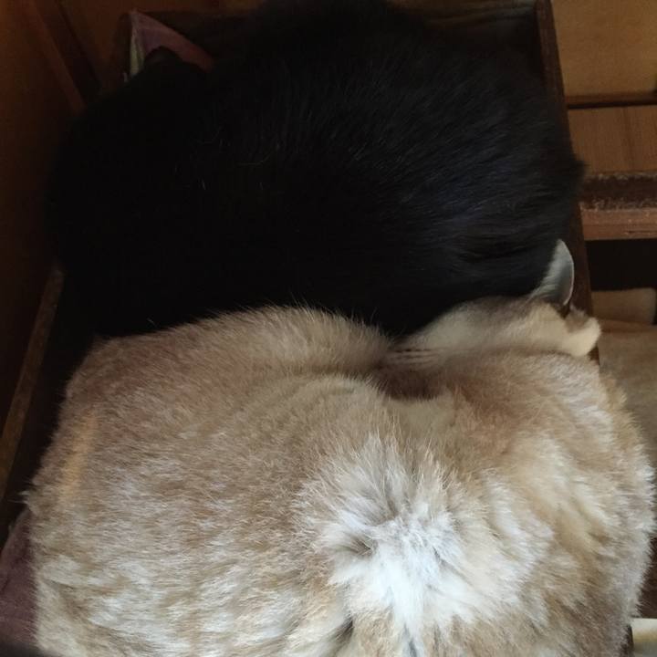 E4d0e913 3688 4c91 a1cc c55ea7856dbb