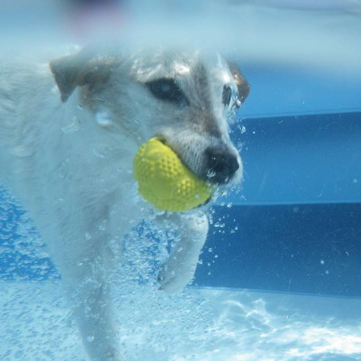 E4d12c97 474a 4a39 8fa7 d5f074e3b980