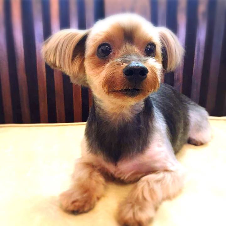 E4d1480d a2e2 42fe b9ab 64a76e749991