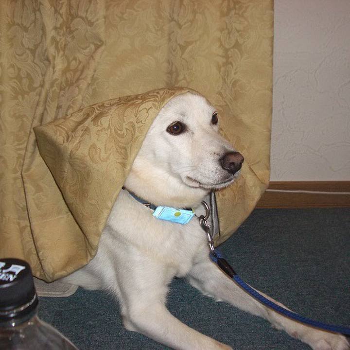 E4d19274 c43a 41e4 bf54 352042ab416f