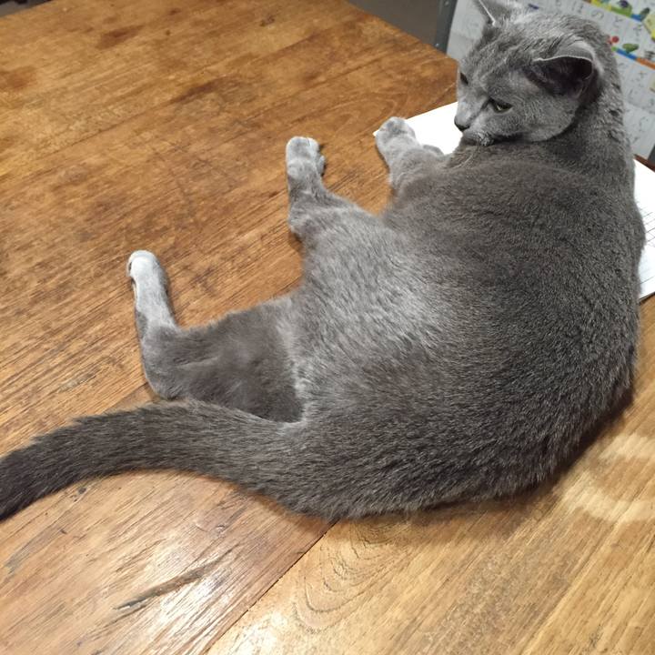 E4d1c616 01b5 43ba 8bf0 8c570f35c8f2