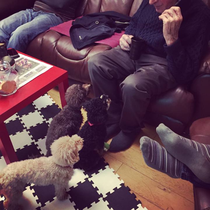 E4d2781a b55d 415c 9359 b383d0ef41ac