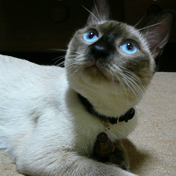 E4d31165 853c 489f a039 8c66239ef22f