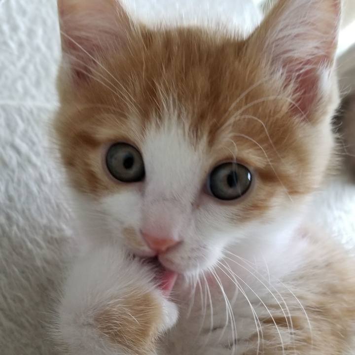 E4d4141c 30f7 4330 a7d6 246ddfc45ef8