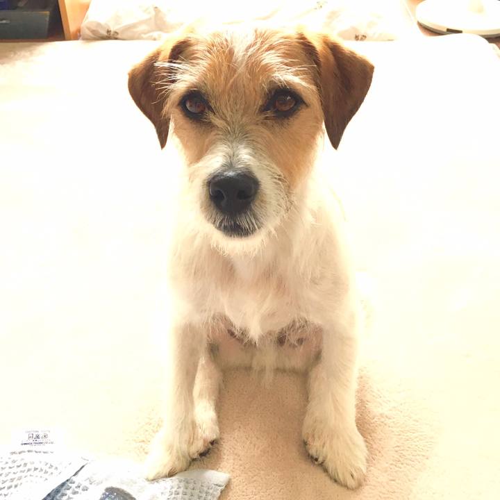 E4d4324c cf40 4b16 ad5c 87fc2da2c456