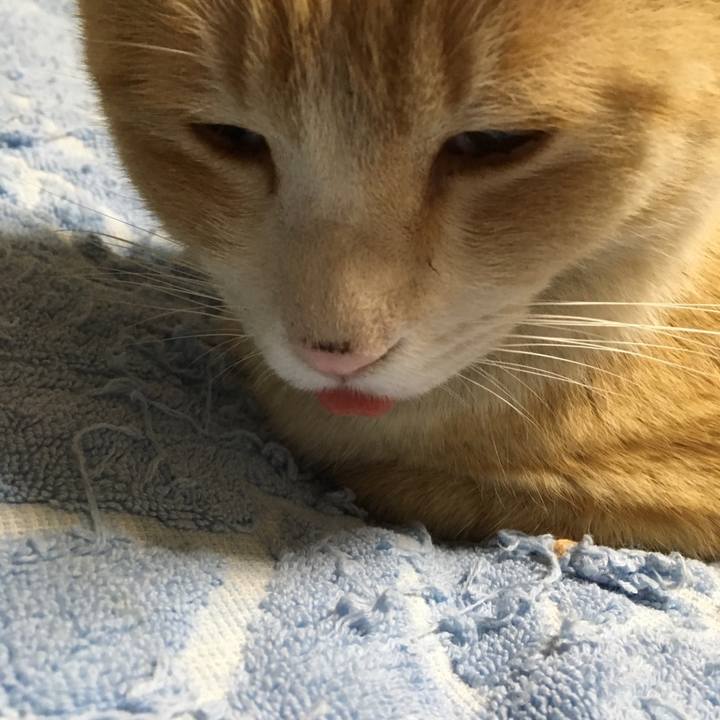 E4d4e1a1 3469 4177 ac70 b77284ddc1ad