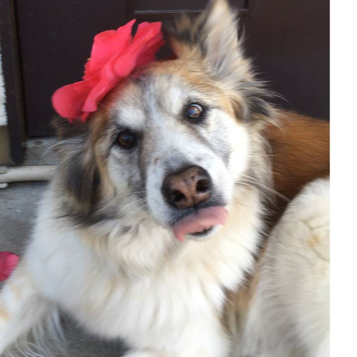 E4d5a715 b760 47cd 901b b9644ebb5cf7