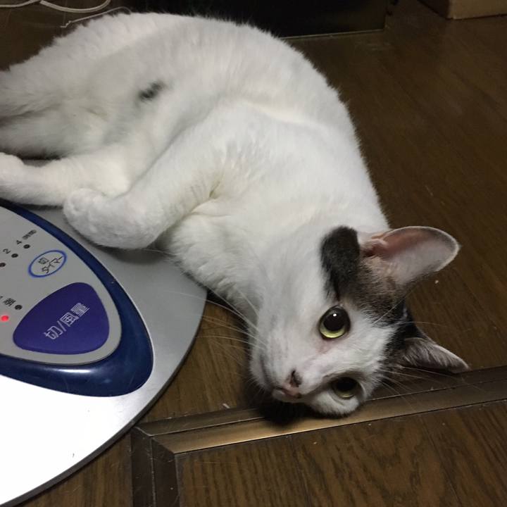 E4d688af bd3d 427d bf2f b2b3a95eeb92