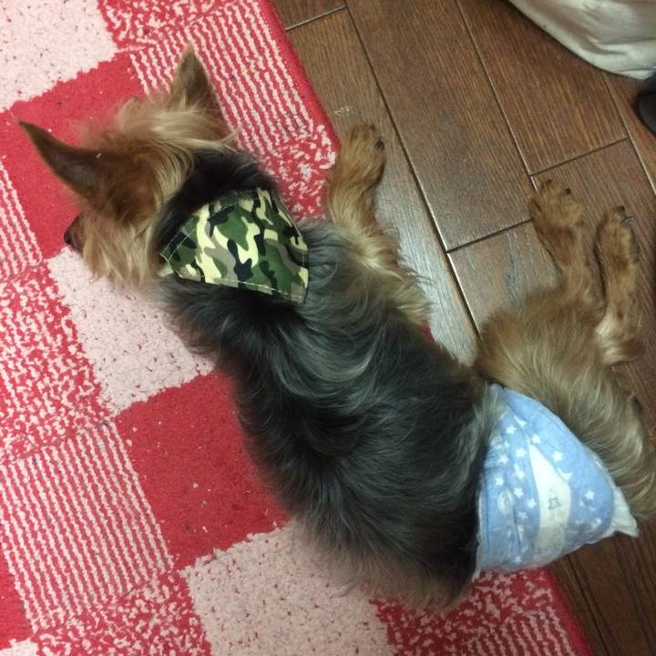 E4d6ea85 5de9 4100 9aca 9ef94c60cff5