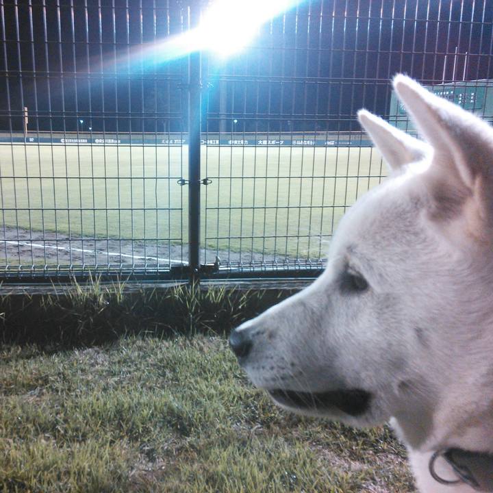 E4d7bf1b f5aa 481a bb8f 9d325cd32c7c