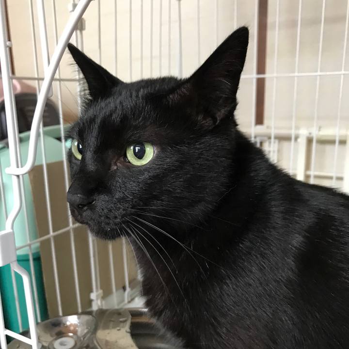 E4d7e220 db07 4a5d 9688 f50a22160b60