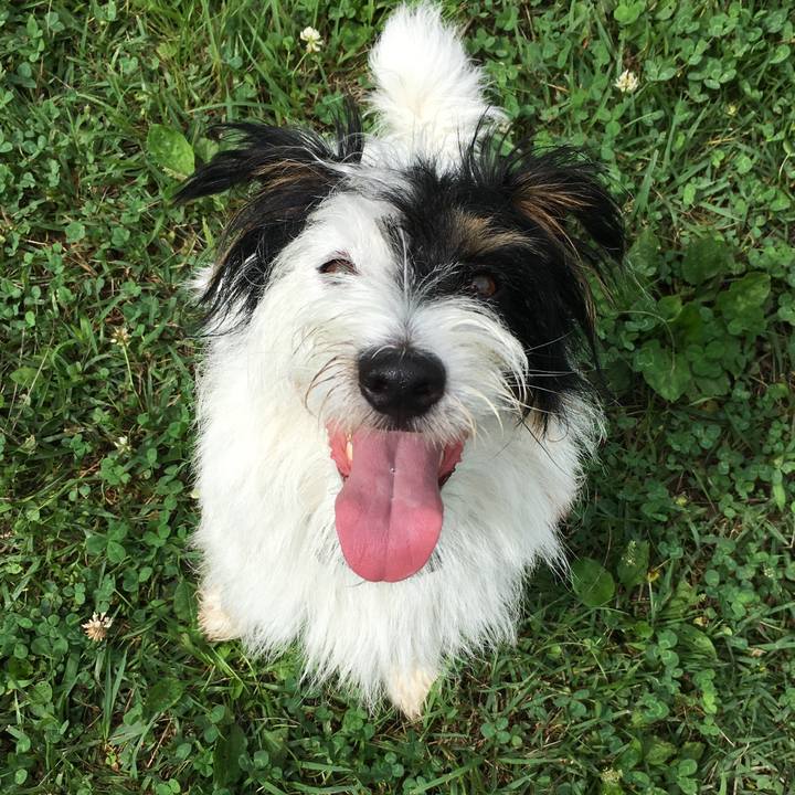 E4d8348a cc32 42df 8399 c40c21ddf0a9