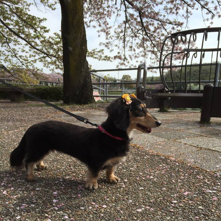 E4d88bac 62fe 4d33 9155 dc1cf0c6aa3b