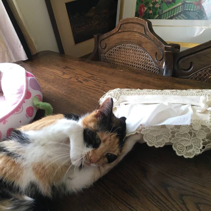 E4d8c499 1d03 40b8 a042 b4db68d95490