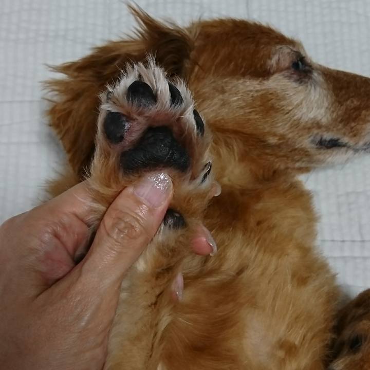 E4d957ab 9721 48ab 87b3 b4eb7922de44