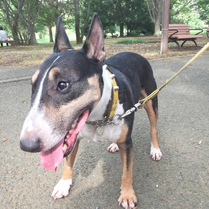 E4d962c3 985b 4657 b4f9 f7a6ce79b292