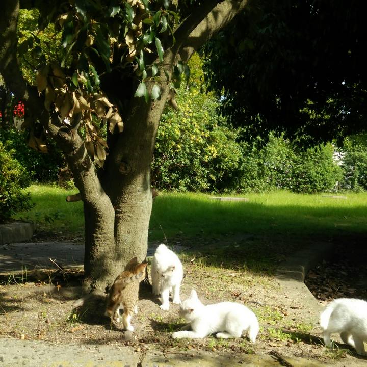 E4d992c5 e0df 428d 8d3e 187b72615dc3