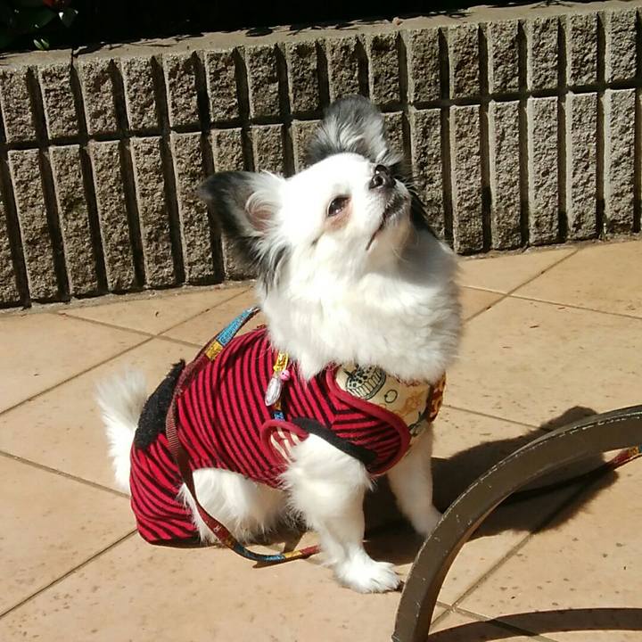 E4d994ee 7d60 4877 984b f0527b2f45ed