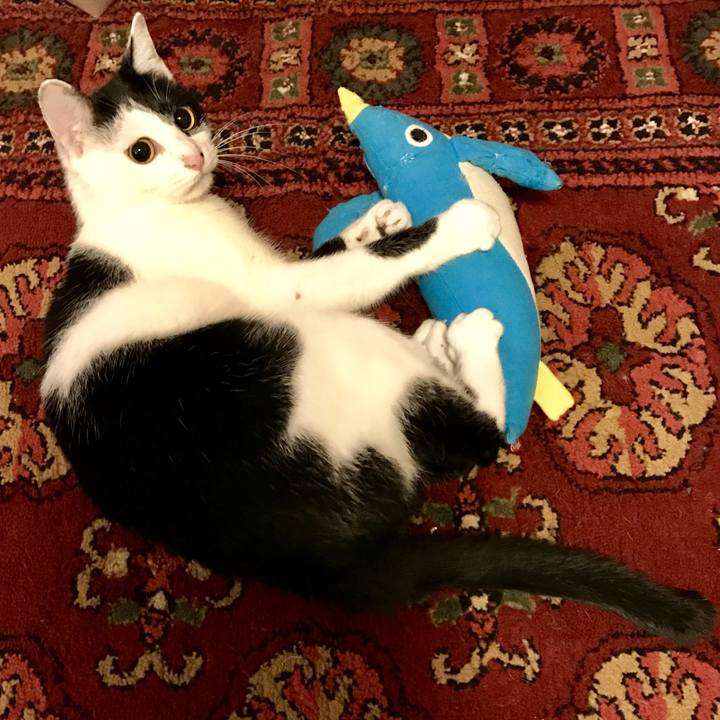 E4d9a5a3 8c7e 4392 826b 63388e7cf847