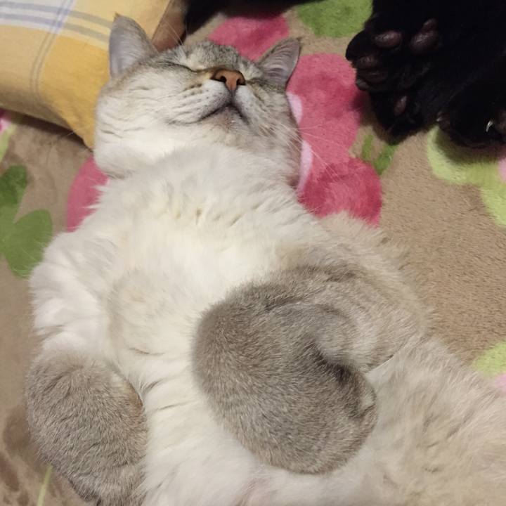 E4d9f937 22d0 4f74 aa0d 64434c9661f5