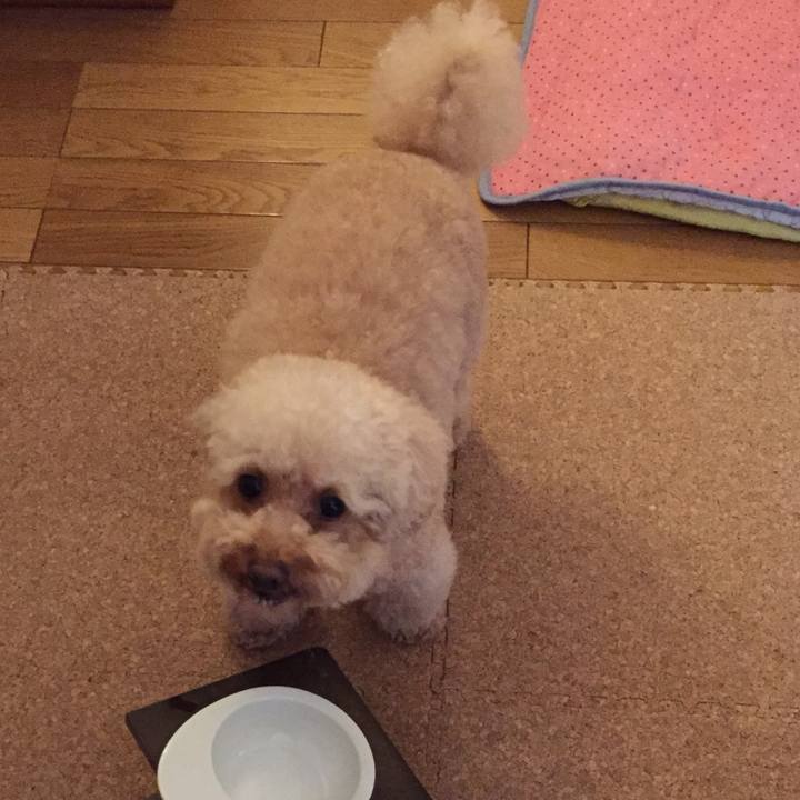 E4dab71f ebb2 43f9 b600 ba22601eb59e