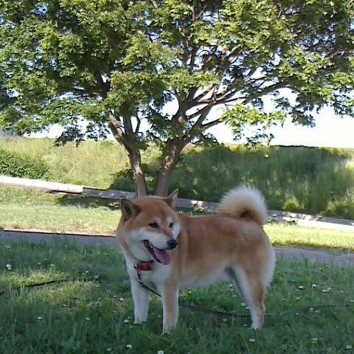 E4db058c 426e 42a2 a296 3f2fb45f5714