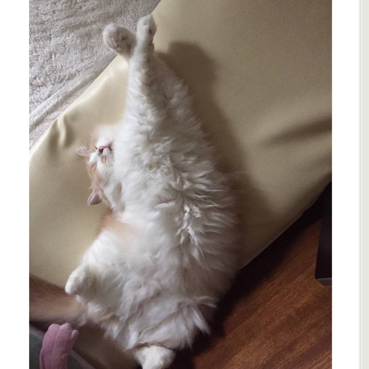 E4db5592 bdac 4699 8e20 2e3ae01a4858