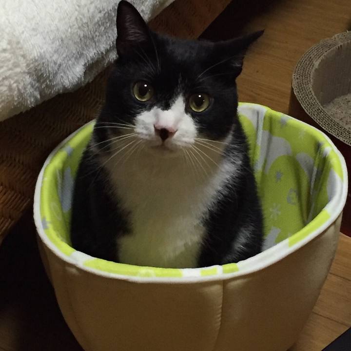 E4db82b4 bfaa 4083 ad59 0ae290e49ba9