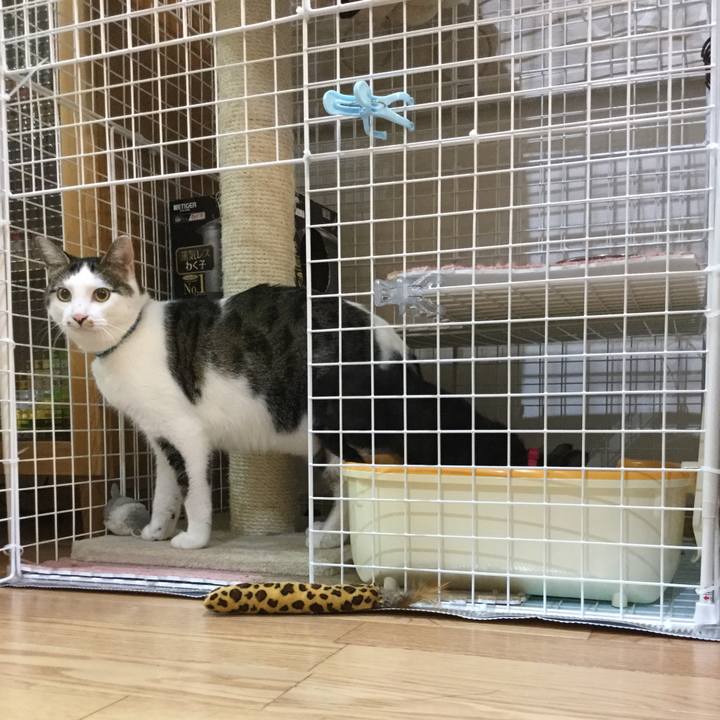 E4dbc245 977c 445f 832b d3e6f39cce20