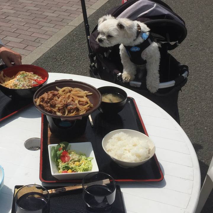 E4dd6ba2 9413 475c 8b2a f526846d883b