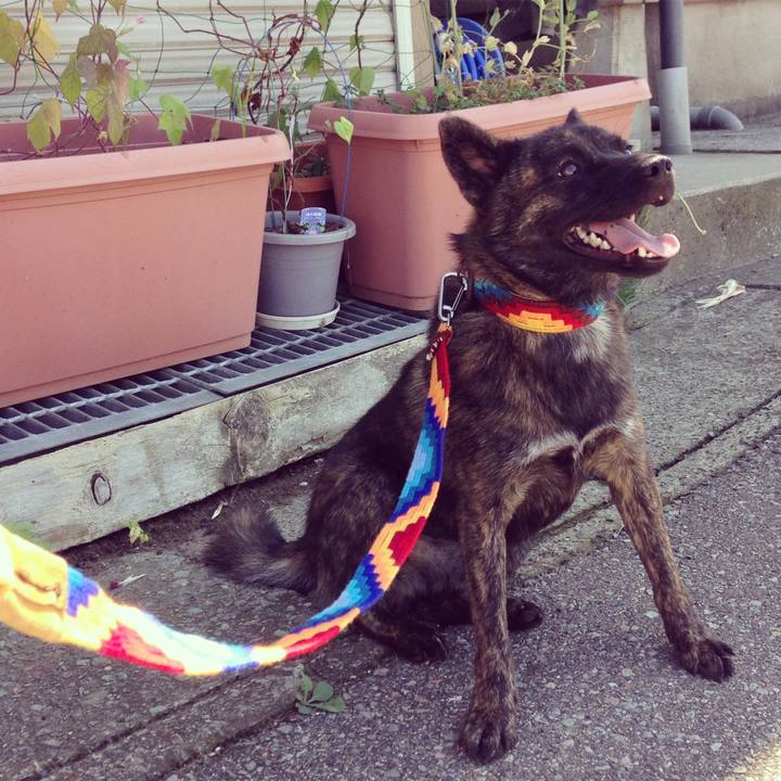 E4dd79fc 2b7c 4fdb bd45 b3847b8994ec