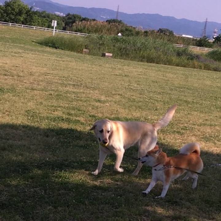 E4dda7ff 99c2 420e 9231 f035962e0660