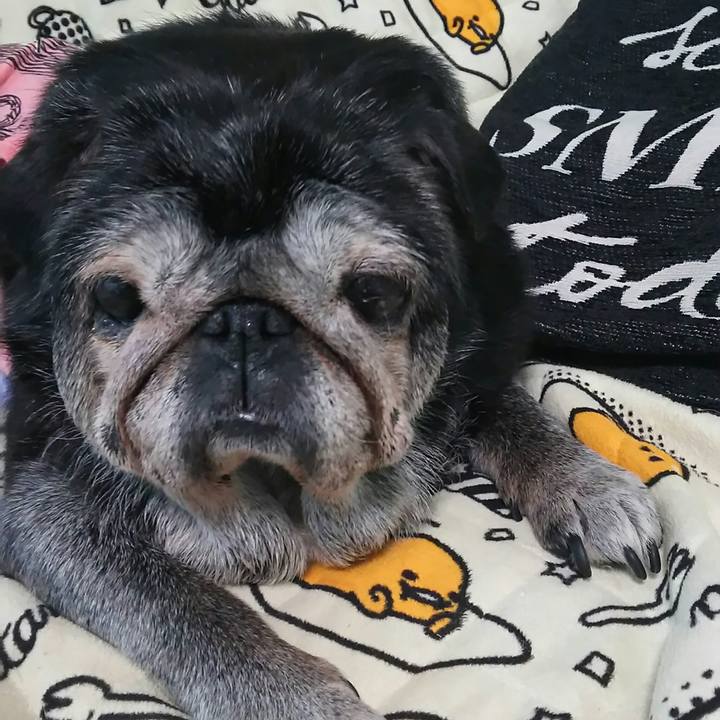 E4dddacf 8757 4965 a6c4 36e2785ad779