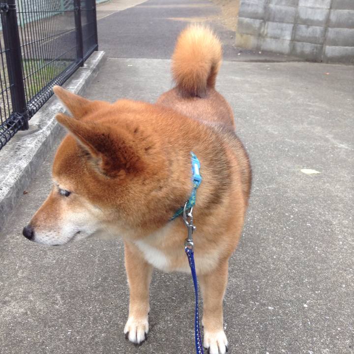 E4df0881 bd22 4906 926d 7bca0cadd7c1