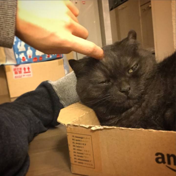 E4dfa79a b93b 4d65 b637 02c2575d7d63