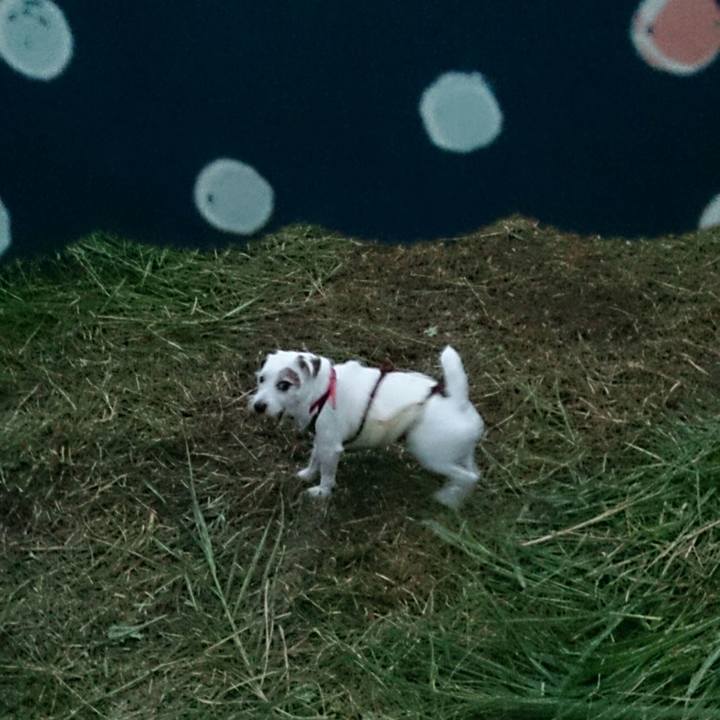 E4e03961 e9e9 4aee a350 6c16d3187421