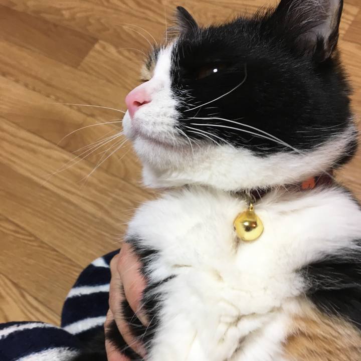 E4e0f0b4 ba0f 492c b58a 501596c0991d