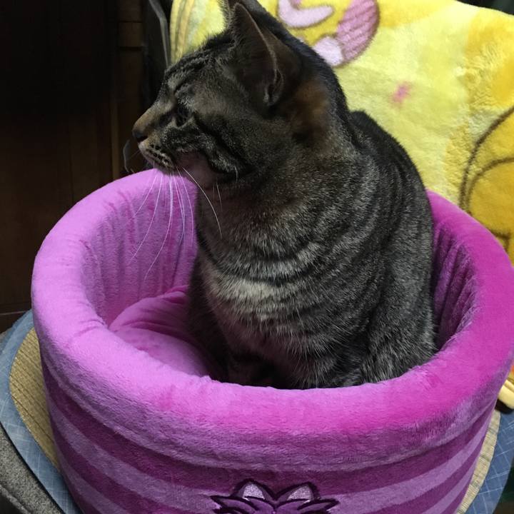 E4e14a20 db3a 4ca7 ad3d 3f750b3899fe