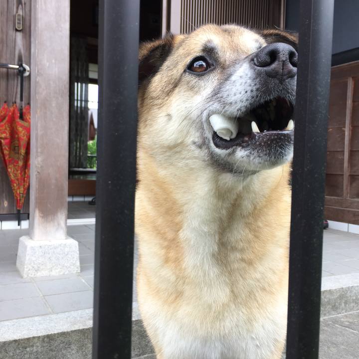 E4e170dc f596 433d a133 85151b445f9b