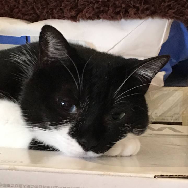 E4e17fac 02df 4e77 8173 3d9facf2e4a3