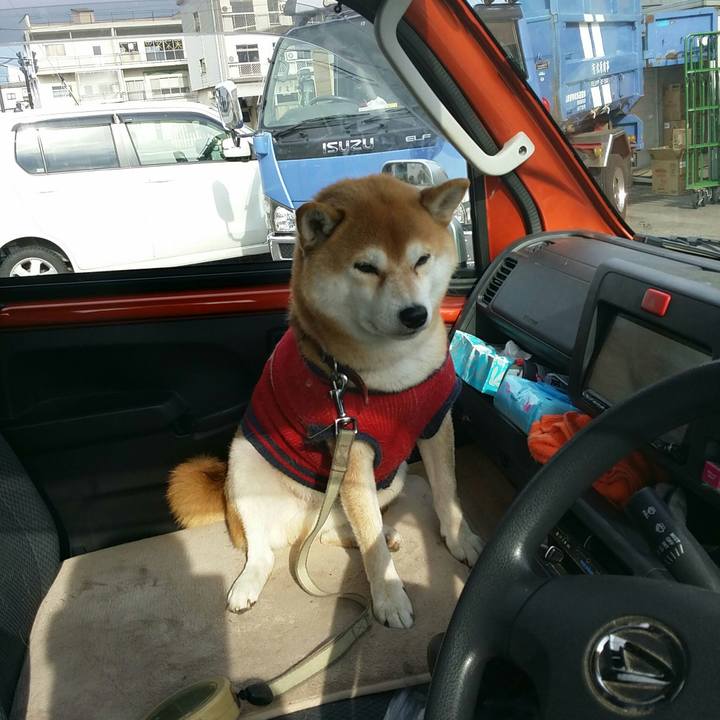 E4e1d51d 072d 447f a4da 0cb73b784f3b