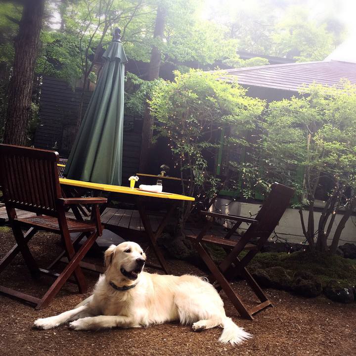 E4e1df87 325c 4f6e bc21 7148638ee434