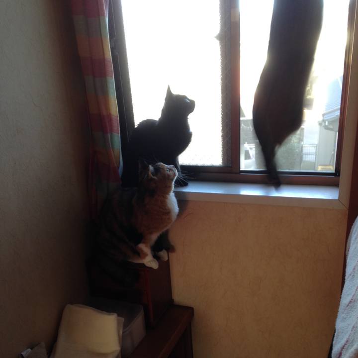 E4e2b36f 1679 4a4a 8047 689b062cbc8f