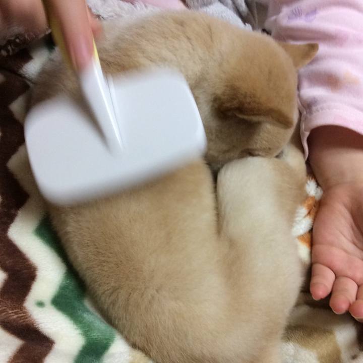 E4e37554 20fd 4812 8d10 7ad3f0b7c77b