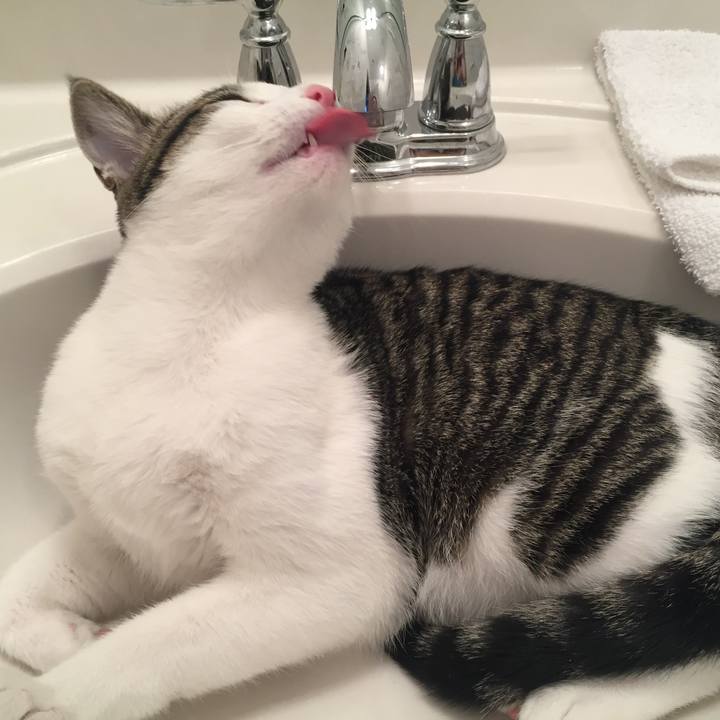 E4e4016f 7373 4e28 9f5e 638be1410ab2