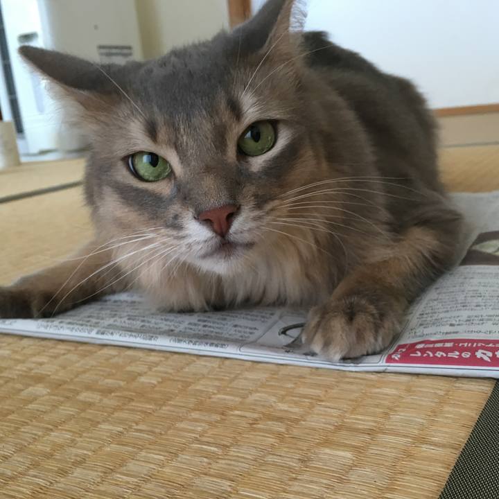 E4e41b53 1dfd 4124 b2d0 7bf16dd69911