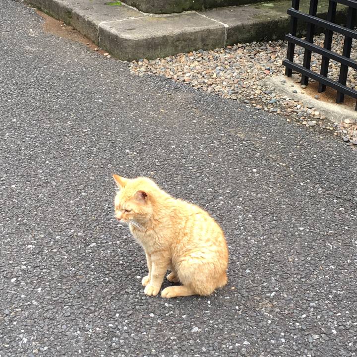 E4e55931 b93b 4ba3 a26b 7e8e4b95d5ae