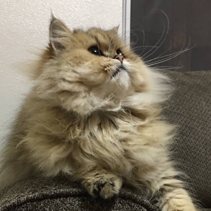 E4e7ba19 d056 4291 adcf 84d186c08b6e